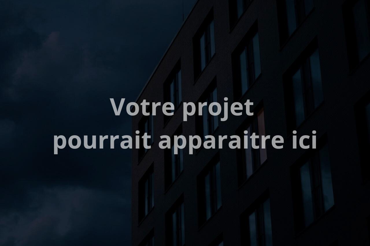 Image du Projet n1